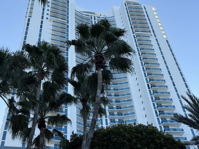 Trump Hollywood  photo 2